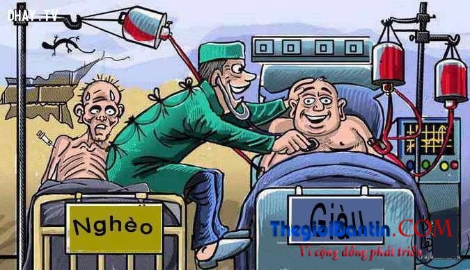 150602-e-20-su-that-phu-phang-ve-cuoc-song-giup-ban-truong-thanh-hon-1