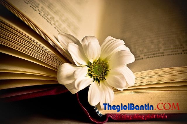 cach-song-thong-minh1