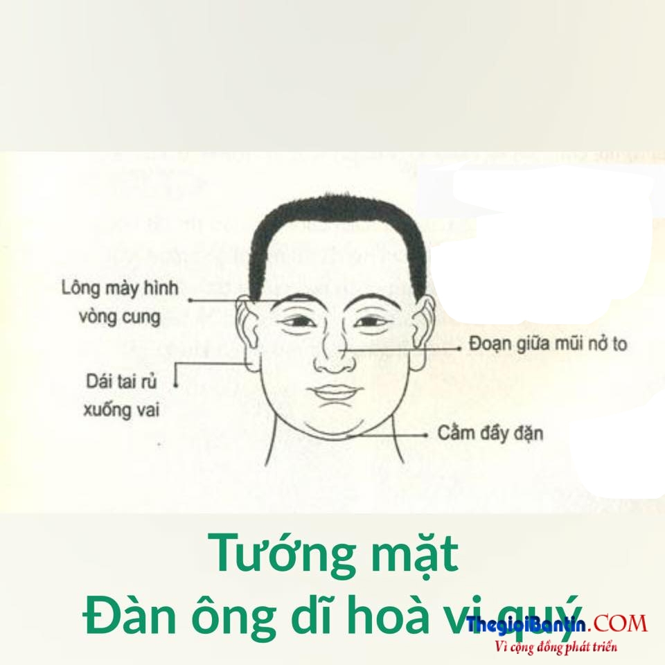 Nhan tuong hoc nhin mat Dan ong doan nguoi (11)