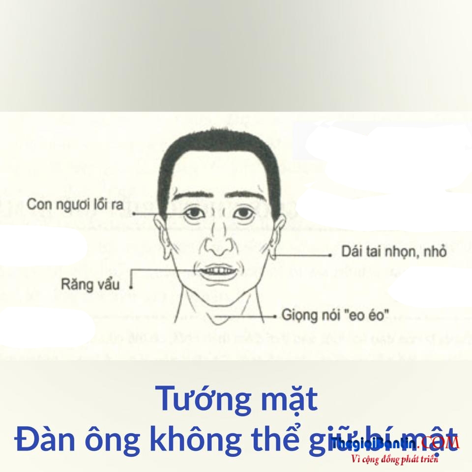 Nhan tuong hoc nhin mat Dan ong doan nguoi (12)