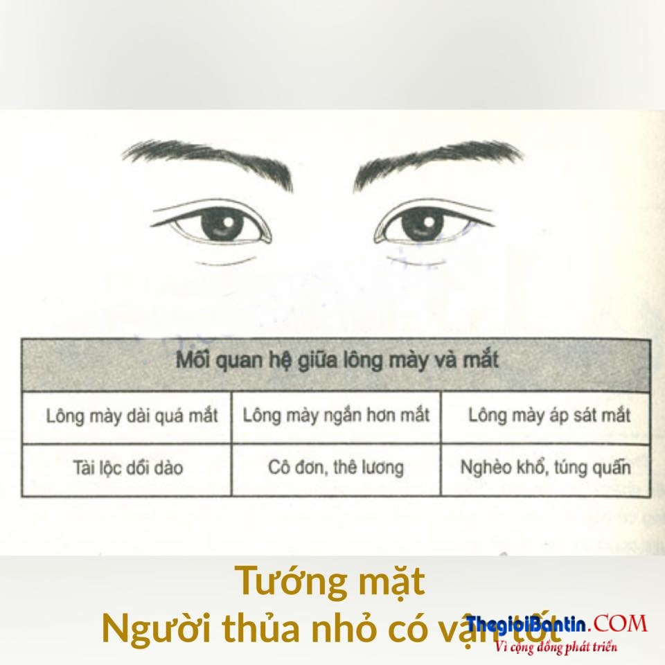 Nhan tuong hoc nhin mat Dan ong doan nguoi (5)