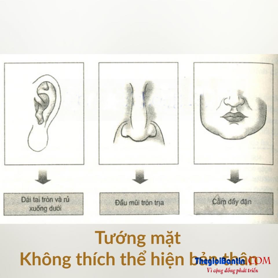 Nhan tuong hoc nhin mat Dan ong doan nguoi (6)