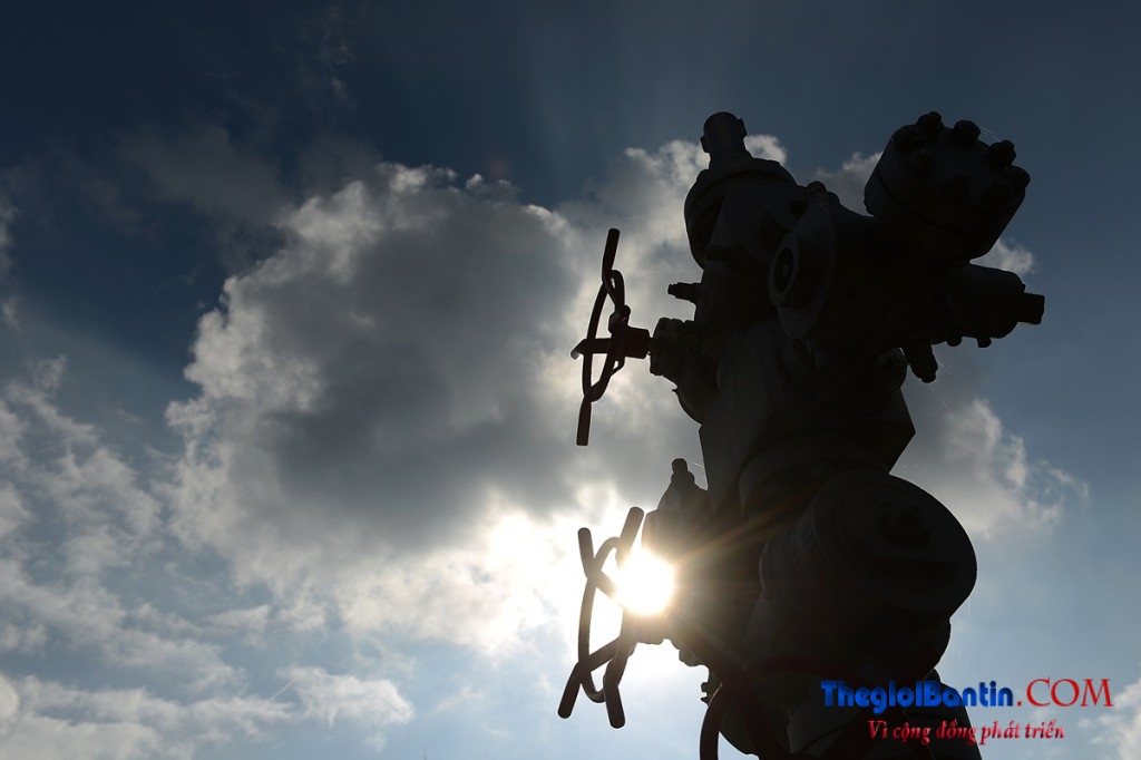 Sản lượng dầu OPEC đạt mức cao nhất trong 20 năm