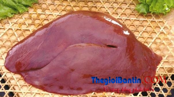 3-bo-phan-cua-lon-chua-nhieu-chat-doc-hai-nhat11-1