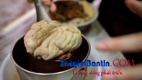 3-bo-phan-cua-lon-chua-nhieu-chat-doc-hai-nhat2