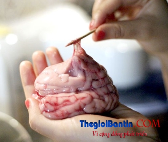 3-bo-phan-cua-lon-chua-nhieu-chat-doc-hai-nhat3-1jpg