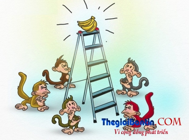 5-con-khi-va-1-nai-chuoi-bai-hoc-ve-nhung-nha-lanh-dao-vui-dap-va-nhan-vien-mu-quang