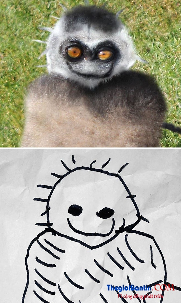 ve-nguech-ngoac-17-1