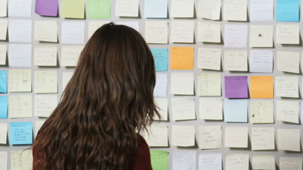 photo-3-1480729322860