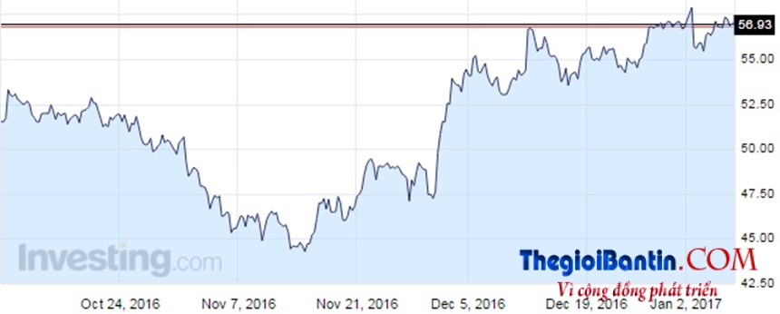 trien-vong-gia-dau-2017-3