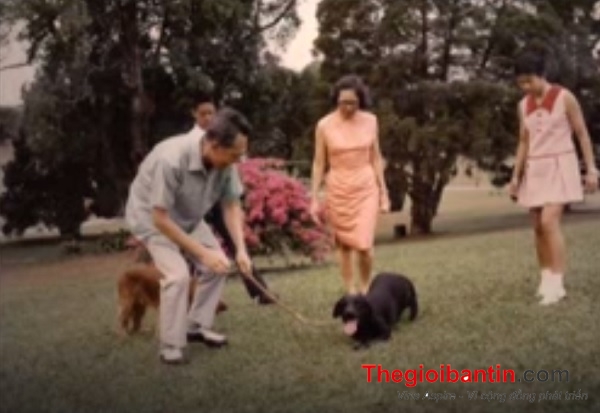 photo-0-1488170447156