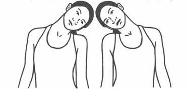 Bài tập vận động cột sống cổ và khớp vai