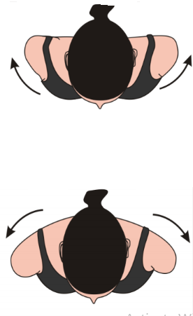 Bài tập vận động cột sống cổ và khớp vai