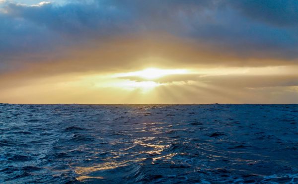 Đại dương đang bị axit hoá với tốc độ kỷ lục, nhanh hơn cả 55 triệu năm qua