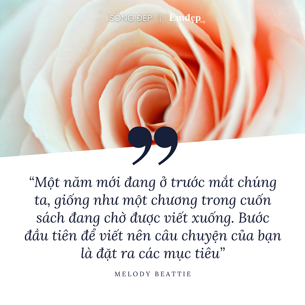 12 câu nói truyền động lực để bắt đầu năm mới đầy khởi sắc