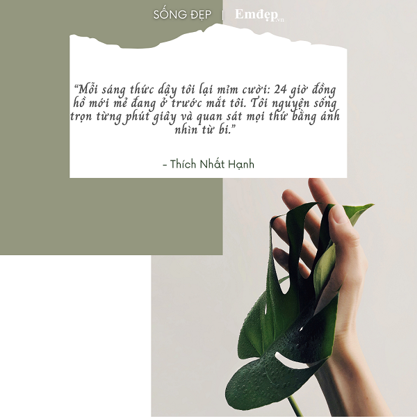 12 câu nói truyền động lực để bắt đầu năm mới đầy khởi sắc