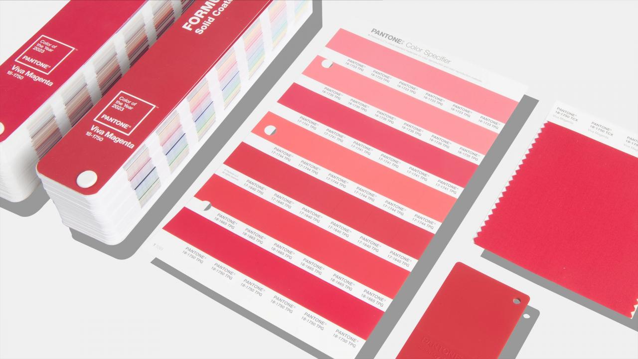 Màu sắc của năm 2023 – sắc đỏ Viva Magenta - Color of the Year 2023